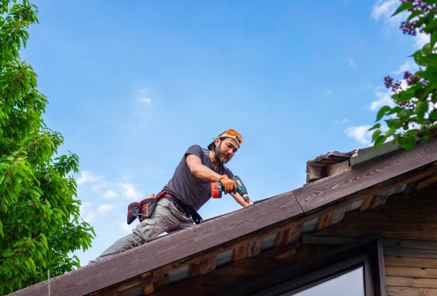 Best Emergency Roof Repair Services  in Milbank, SD